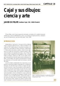 Cajal y sus dibujos: ciencia y arte