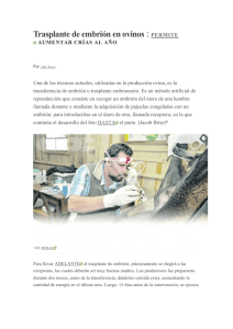 Trasplante de embrión en ovinos : PERMITE