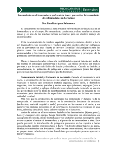 Saneamiento en el invernadero: qué se debe