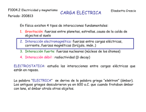 CARGA ELECTRICA