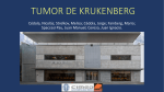 TUMOR DE KRUKENBERG
