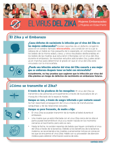 El Virus del Zika: Mujeres Embarazadas y Mujeres en Edad Fértil