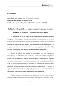 ABRAHAN FINAL CORRECCIONES