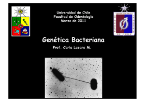 Genética Bacteriana - U