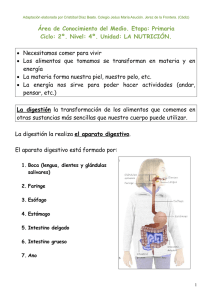 Unidad adaptada: La nutrición.