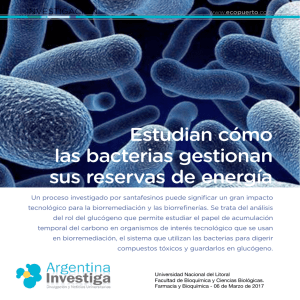 Leer Más… - Argentina Ambiental
