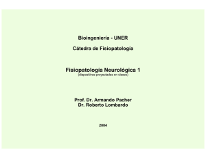 Fisiopatología Neurológica 1