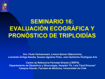 seminario