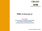 PRRS: el virus per se