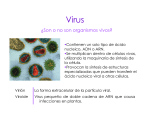 CLASE 15 Virus_sin imágenes pesadas.pptx