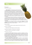 Piña - Fundación Española de la Nutrición