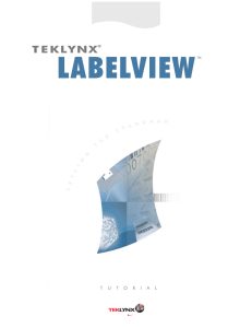 tutorial labelview