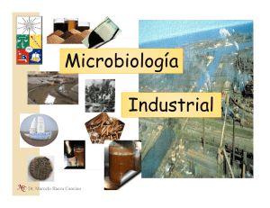 1-_Microb_Industrial_Selec_y_Mejora