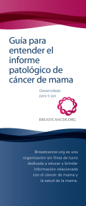 Guía para entender el informe patológico de cáncer de mama