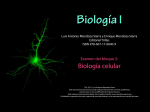 Mendoza, L. et al., Biología I Examen Bloque 3. Biología celular