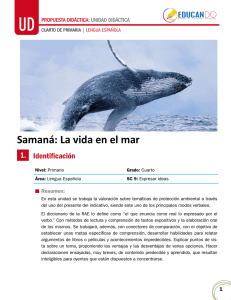 Samaná: La vida en el mar