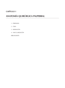 anatomía quirúrgica palpebral - Sociedad Española de Oftalmología