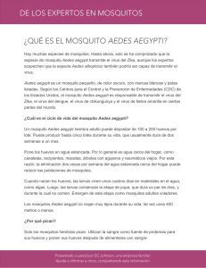 de los expertos en mosquitos ¿qué es el mosquito