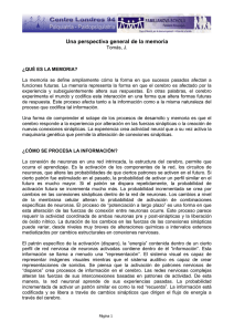 Una perspectiva general de la memoria
