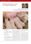 Cultivo embrionario in vitro en la especie porcina (II)