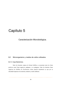 Caracterización microbiológica Descargar archivo