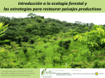 Introducción a la ecología forestal y las estrategias para restaurar