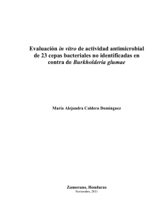 Evaluación in vitro de actividad antimicrobial de 23 cepas