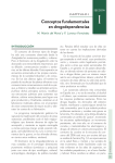 Conceptos fundamentales en drogodependencias