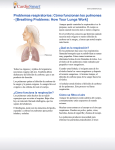 Problemas respiratorios: Cómo funcionan los pulmones
