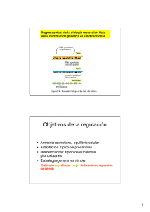 Objetivos de la regulación - U