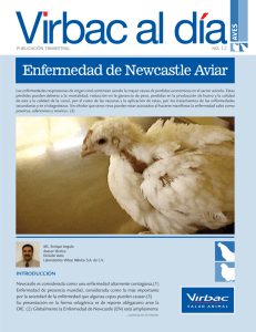 Enfermedad de Newcastle Aviar