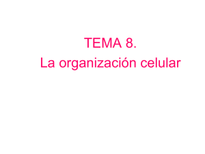 TEMA 8. La organización celular