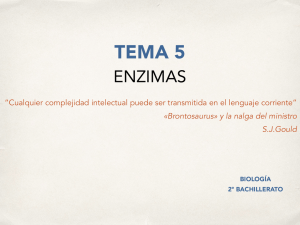TEMA 5 - Euronet