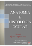 anatomía e histología ocularo