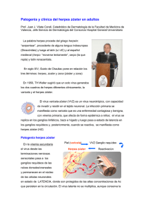 Patogenia y clínica del herpes zóster en adultos