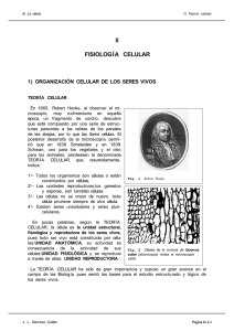 Teoría celular - ies vega del piron