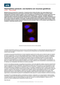 Haemophilus parasuis: una bacteria con recursos genéticos