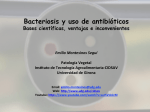 Bacteriosis y uso de antibióticos