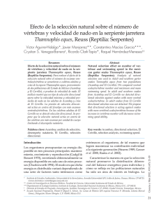 Efecto de la selecci&oacute;n natural sobre el n&uacute;mero de v&eacute;rtebras y