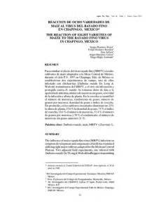 reaccion de ocho variedades de maiz al virus del rayado fino en