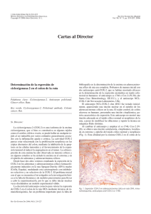 Espa&ntilde;ol  - SciELO Espa&ntilde;a