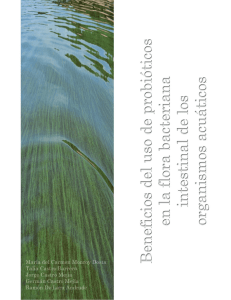 Beneficios del uso de probióticos en la flora bacteriana intestinal de