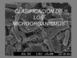 CLASIFICACIÓN DE LOS MICROORGANISMOS