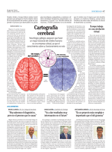Cartografía cerebral - Sociedade Galega de Neuroloxía