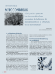 MITOCONDRIAS - Expedición Ciencia