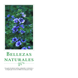 Bellezas naturales - Save Dallas Water