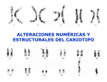 alteraciones numéricas y estructurales del cariotipo