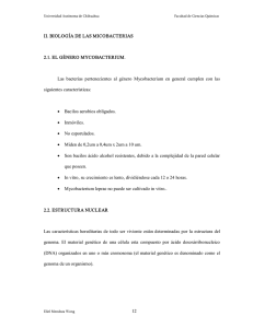 Archivo PDF - fcq.uach.mx - Universidad Autónoma de Chihuahua
