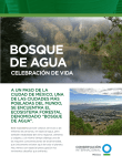 Bosque de Agua