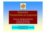 Elementos Transponibles en el genoma